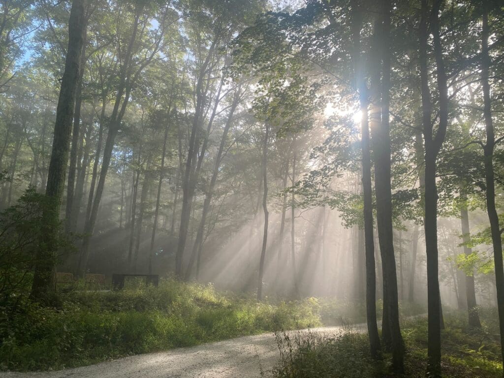 Driving to Litchfield Hills Forest Better Place Forests