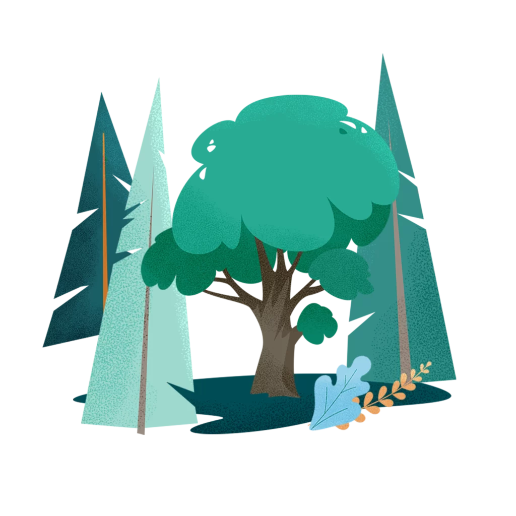 Finding Your Memorial Tree Better Place Forests