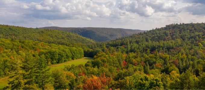 Aerial photograph of Berkshires Memorial Forest