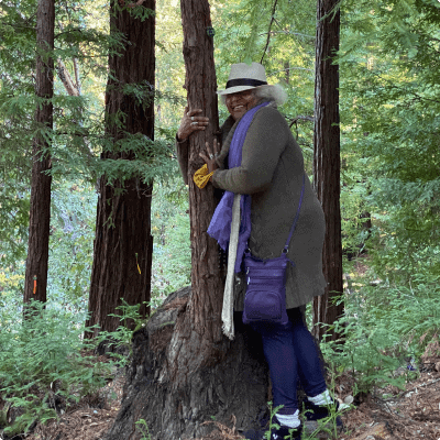 Santa Cruz Memorial Forest Better Place Forests