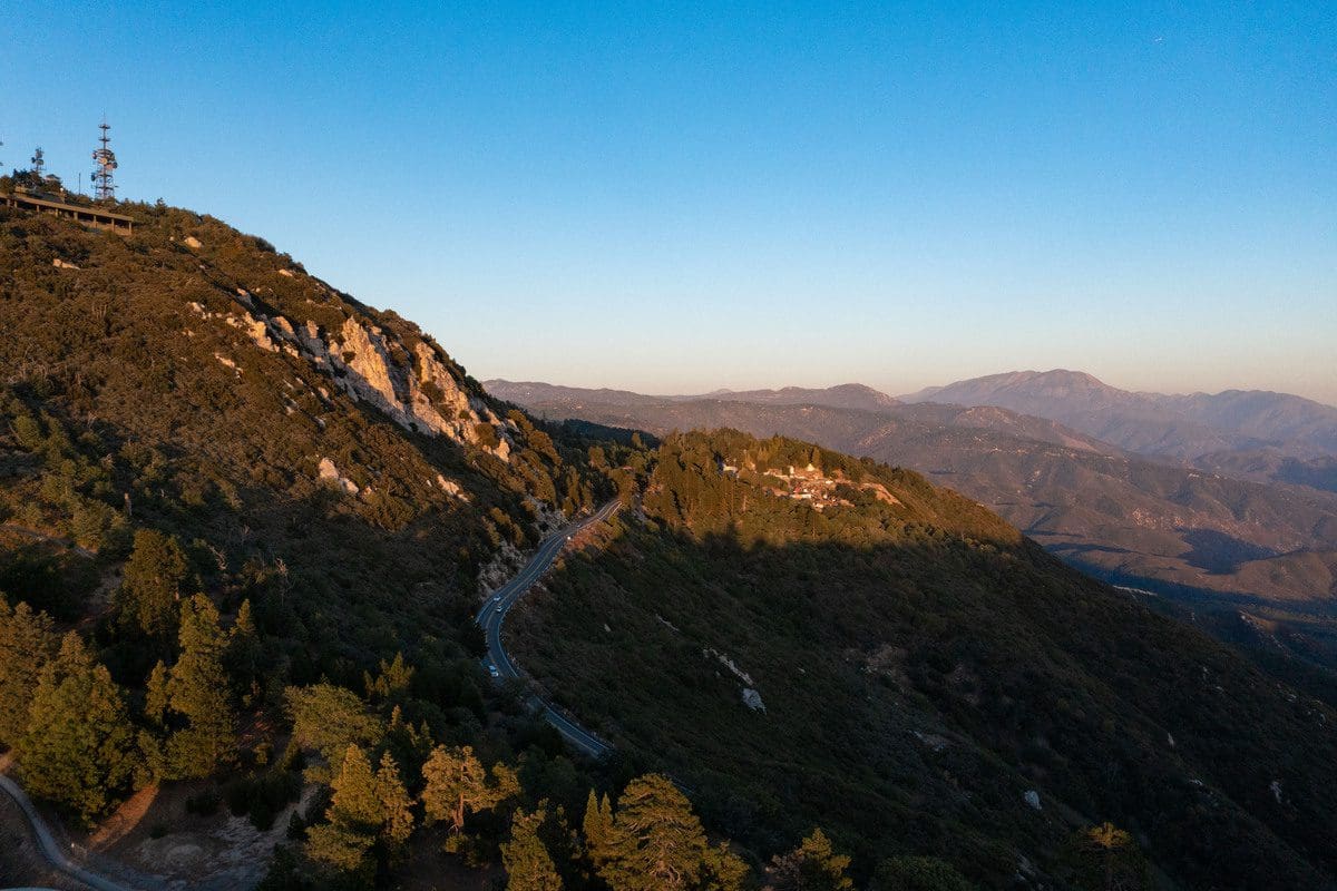 Explore Our Blog Better Place Forests